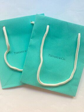 NEW Tiffany & Co Blue Paper Shopping Gift Bag Size Small (2 Pieces)
